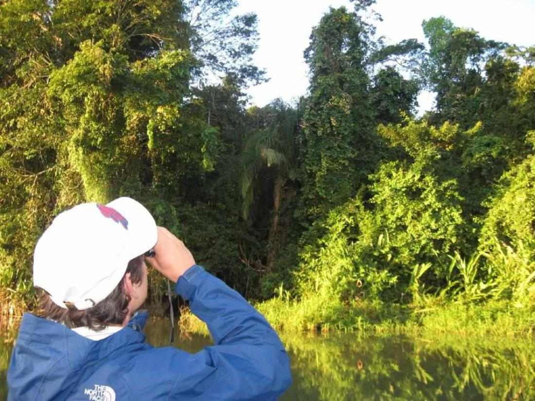 Dschungelabenteuer im Manú-Nationalpark